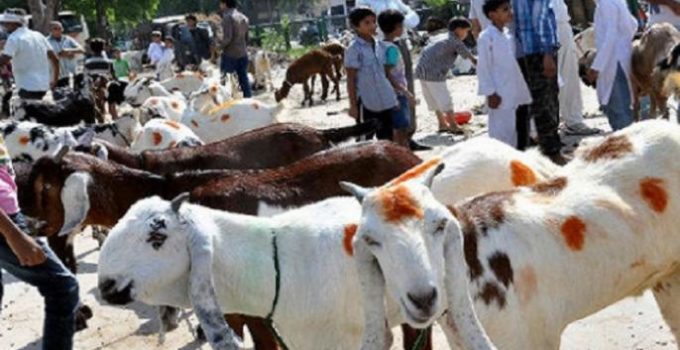 Bakrid
