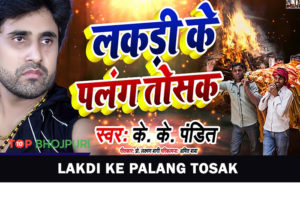 Lakdi Ke Palang Tosak song