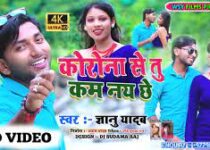 Corona Se Nai Kam Chhe Tu Ge Lyrics