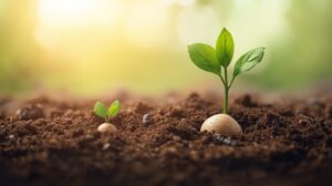 Inspirational Story of Two Seedsg